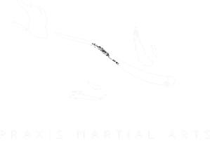 Praxis Martial Arts